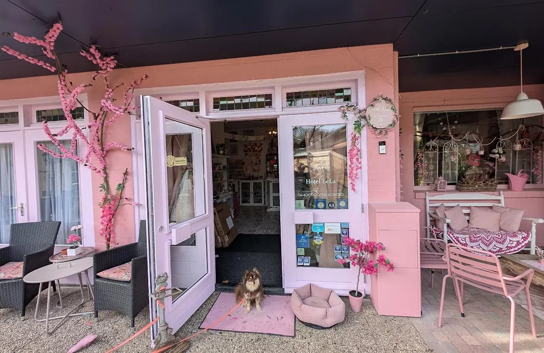 Pink Hotel B&B Lela-1